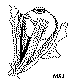 45-esquema2.gif (9743 bytes)