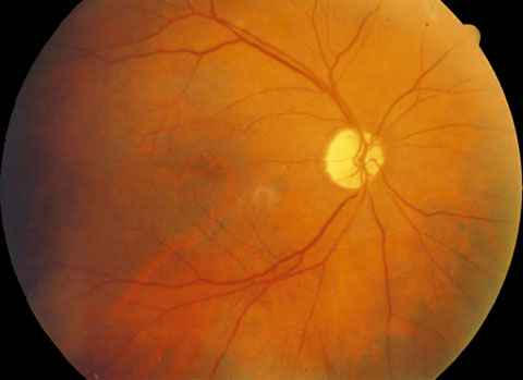 f10-03.jpg (23884 bytes)