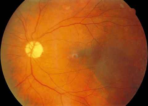 f10-04.jpg (24658 bytes)