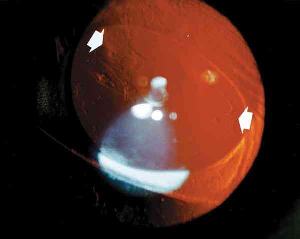 f04-03.jpg (31506 bytes)