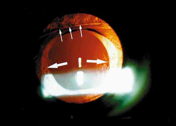 f04-04.jpg (28954 bytes)