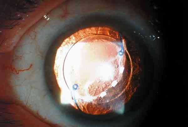 f04-06.jpg (38118 bytes)