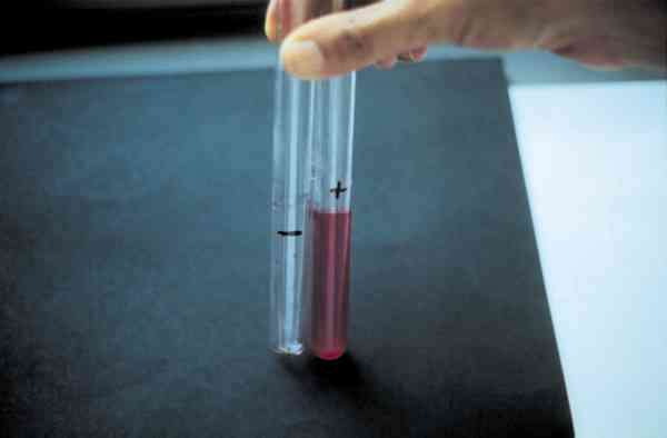 f06-01.jpg (28390 bytes)