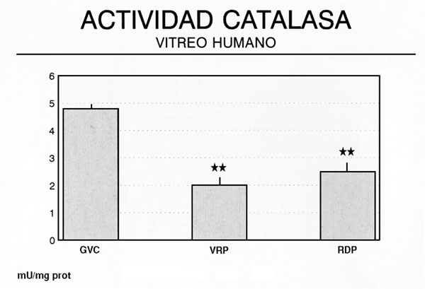 f07-03.jpg (29457 bytes)