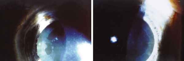 f09-01.jpg (16497 bytes)