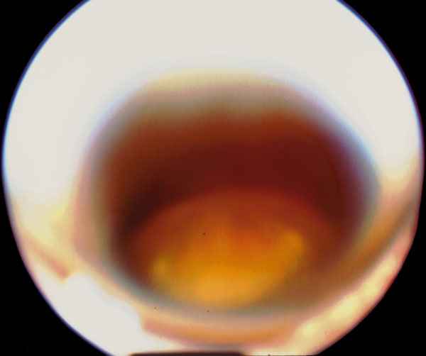 f09-02.jpg (30028 bytes)