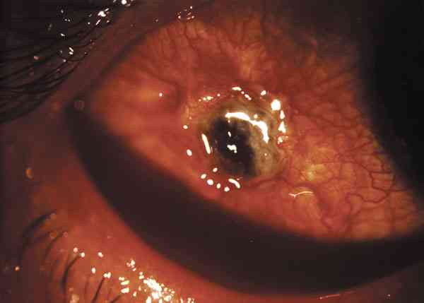 f10-02.jpg (39285 bytes)