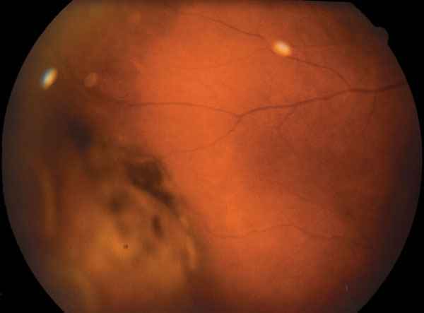 f10-03.jpg (29770 bytes)