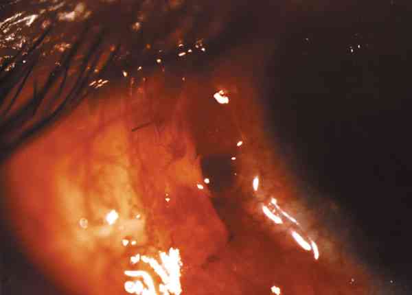 f10-04.jpg (36735 bytes)