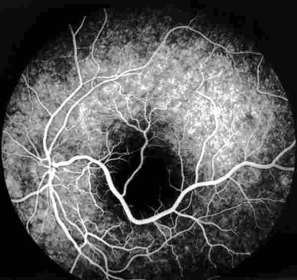 f15-05.jpg (75246 bytes)