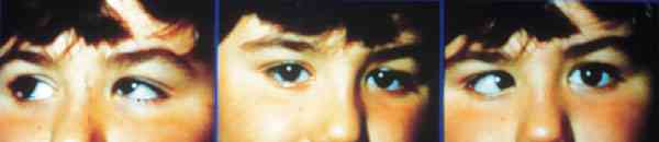 f16-01.jpg (20999 bytes)