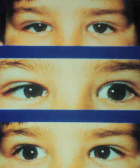 f17-05.jpg (41617 bytes)