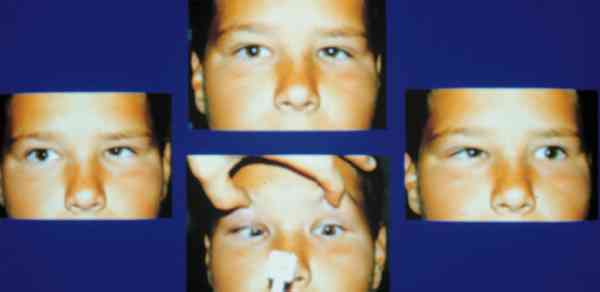 f17-06.jpg (28951 bytes)