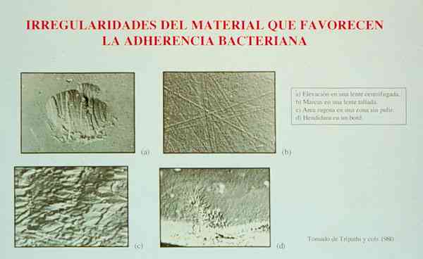 f04-01.jpg (57419 bytes)