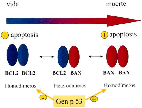 f02-01.jpg (48747 bytes)