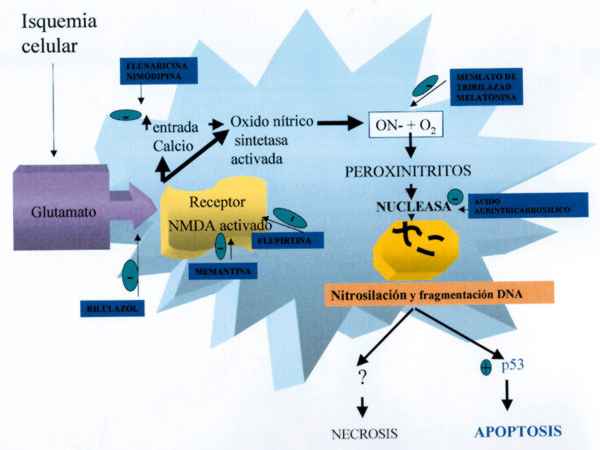 f02-02.jpg (56341 bytes)