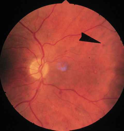 f11-02.jpg (33804 bytes)