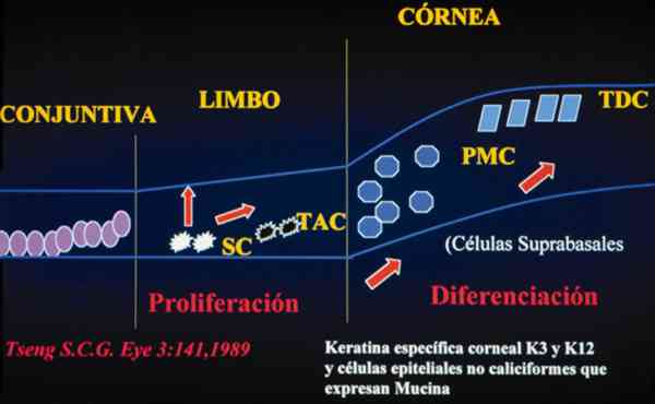 f02-01.jpg (54039 bytes)
