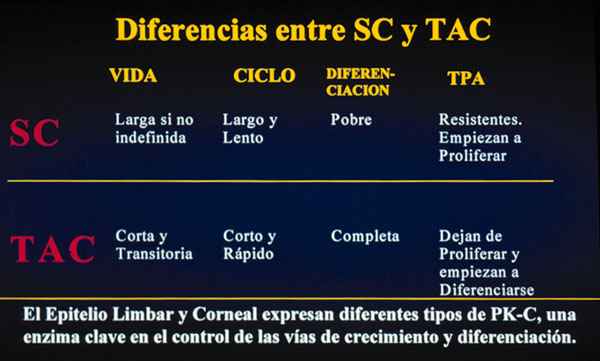 f02-02.jpg (57818 bytes)