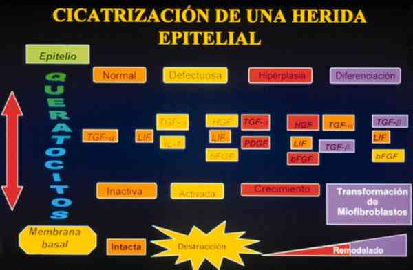 f02-03.jpg (71607 bytes)