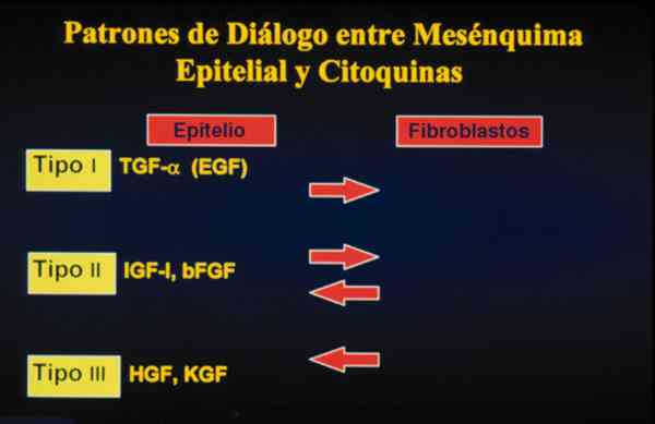 f02-05.jpg (48964 bytes)