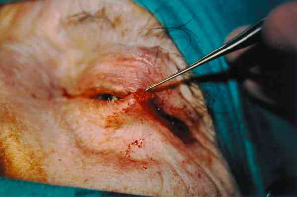 f06-02.jpg (52600 bytes)