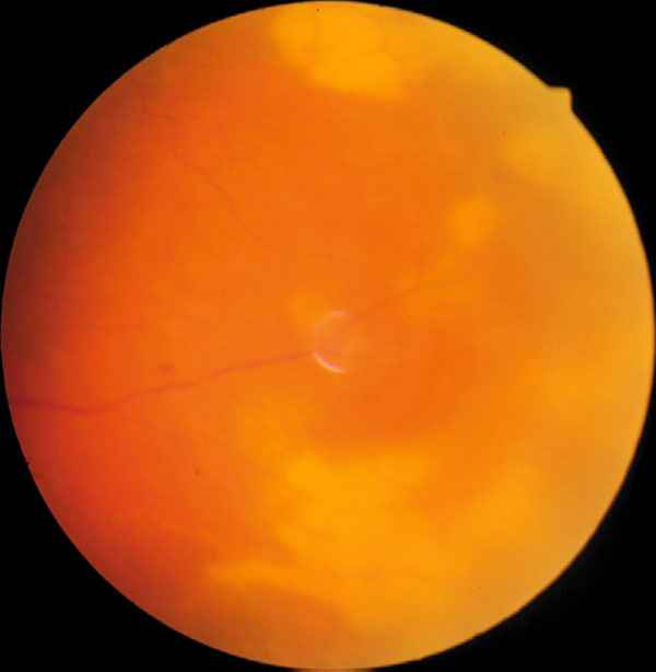 f10-02.jpg (37009 bytes)