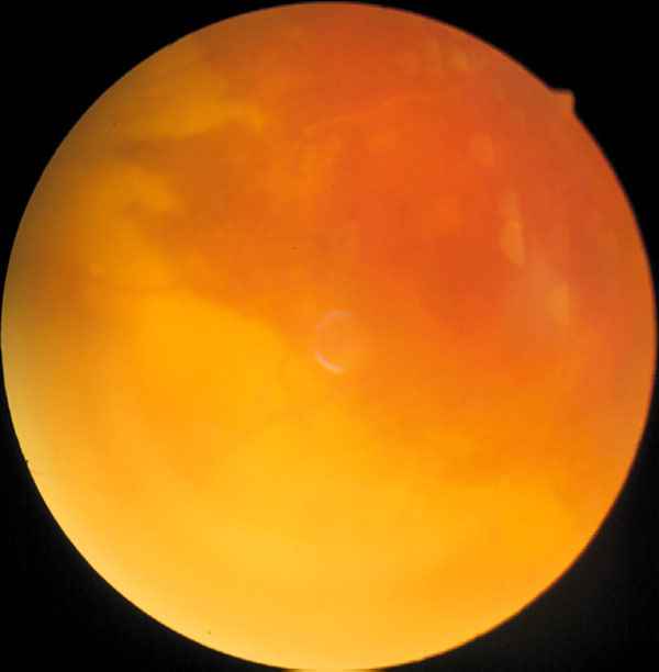 f10-03.jpg (37952 bytes)