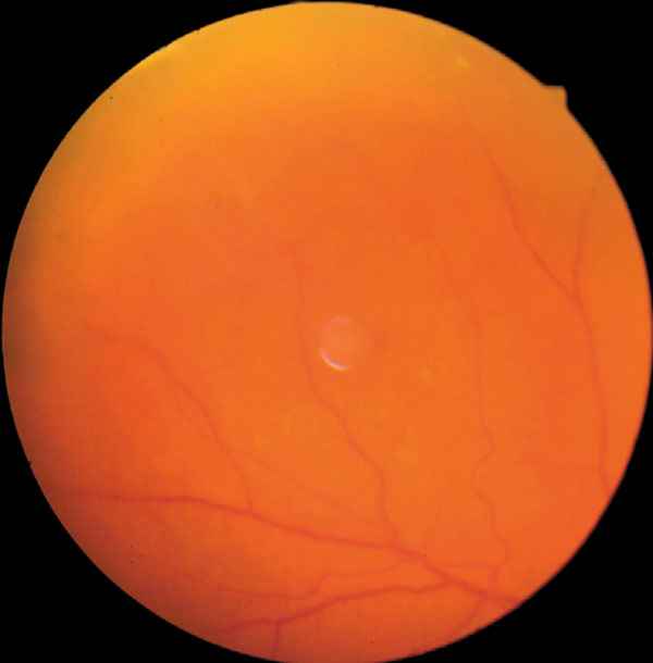 f10-05.jpg (33523 bytes)