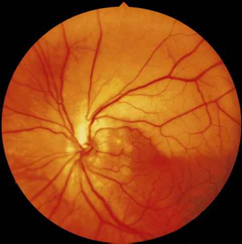 f09-01.jpg (39129 bytes)